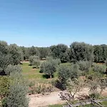 La Zagara - * פאסאנו