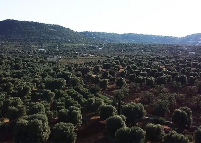 La Zagara - *