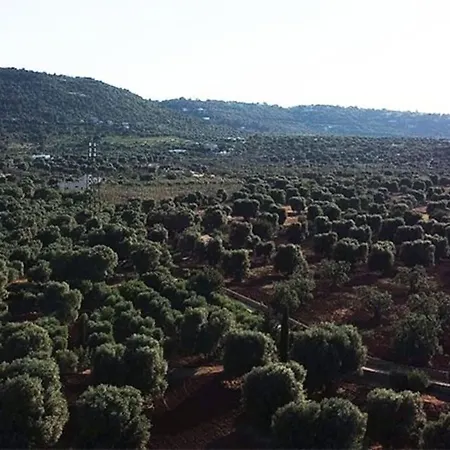 La Zagara - *
